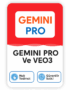 Gemini Premium – 4 Hafta