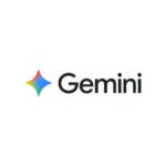 Gemini Pro - 1 Sene